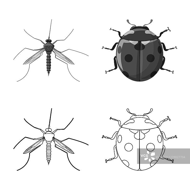 昆虫与苍蝇标志设计图片素材