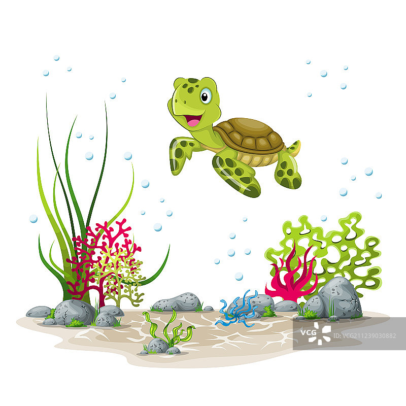 水下乌龟植物景观图片素材