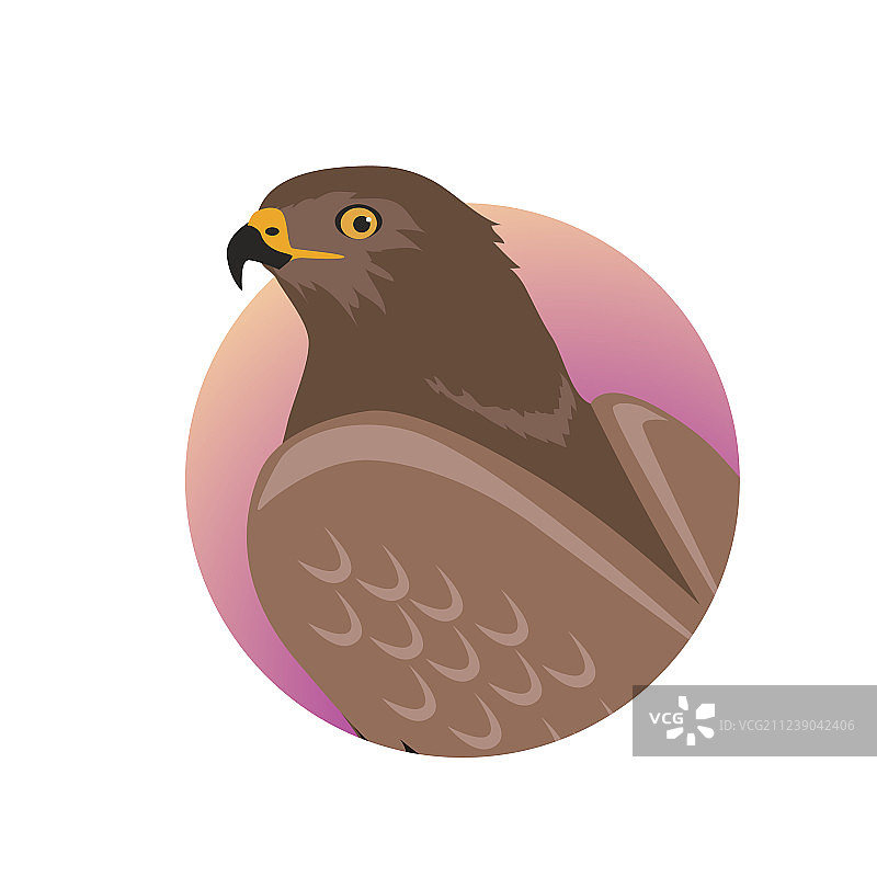 扁平化设计的鹰图片素材