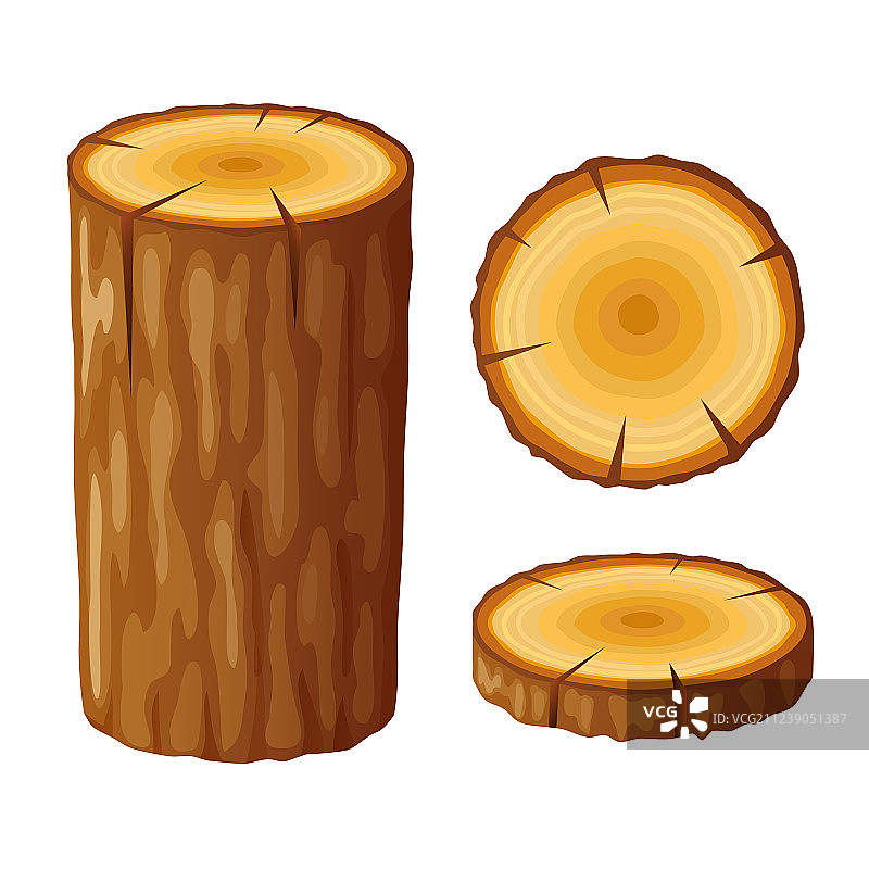 带年轮的树木木桩图片素材