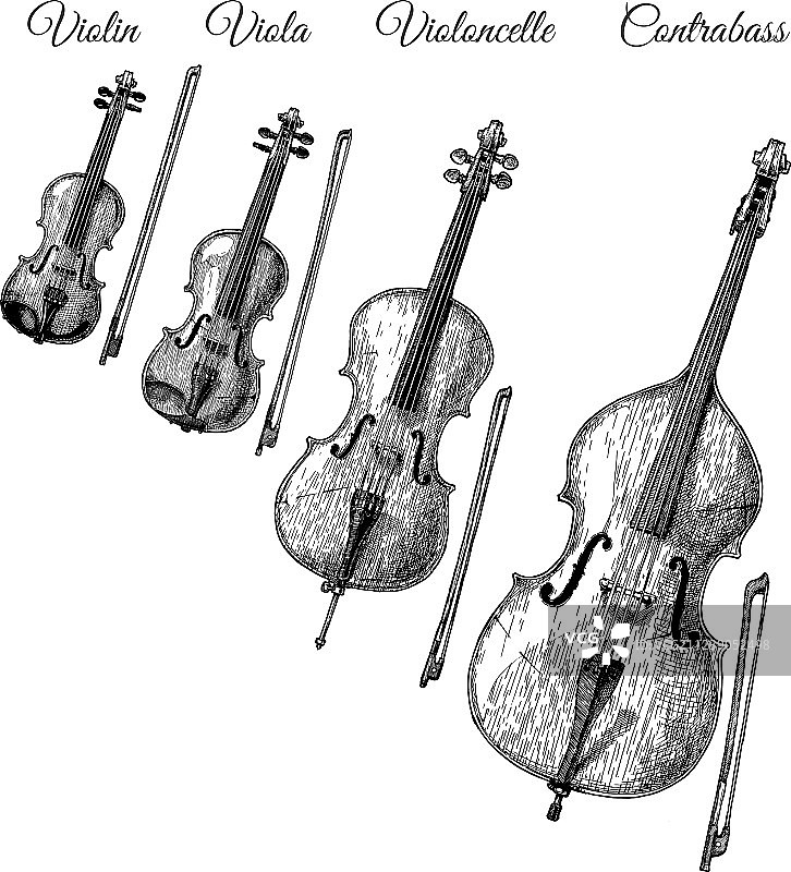 弓弦乐器图片素材