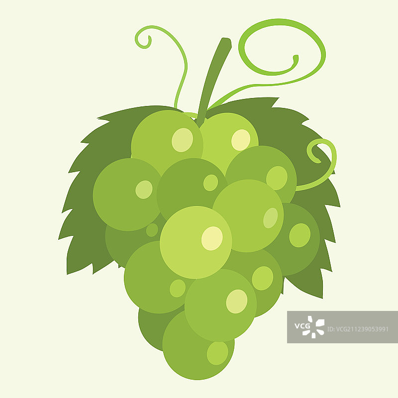 葡萄图片素材