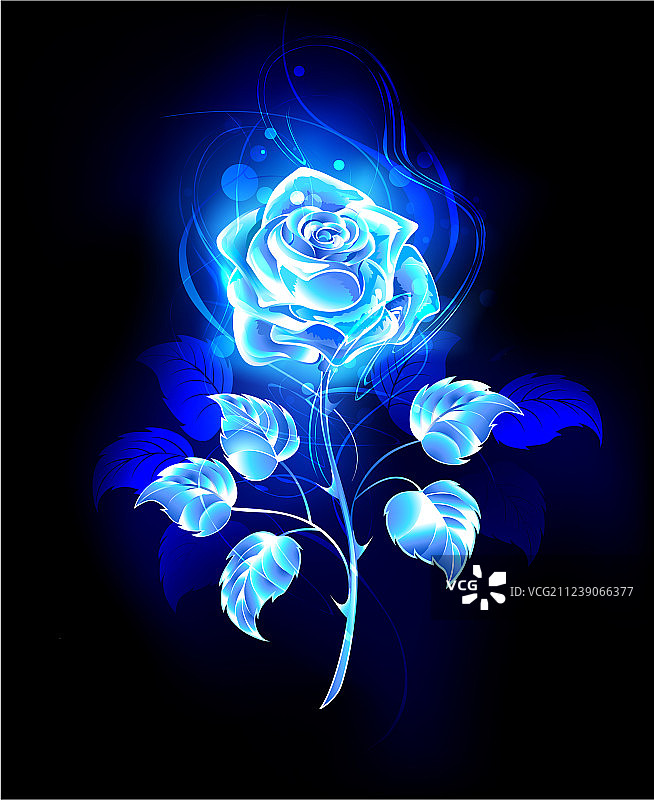 燃烧的蓝色玫瑰图片素材
