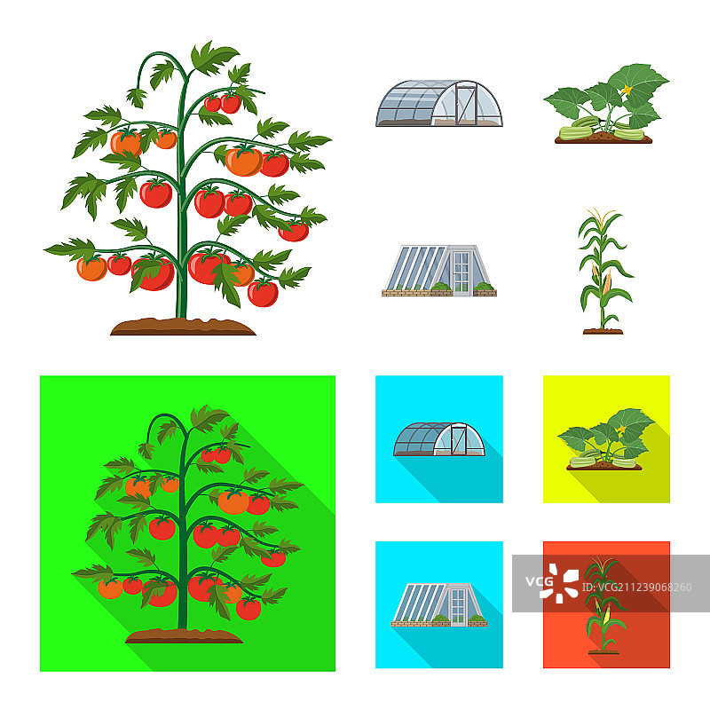 温室植物标志设计图片素材
