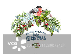 红腹灰雀圣诞节构成图片素材