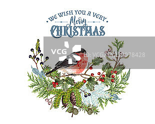 红腹灰雀圣诞节构成图片素材