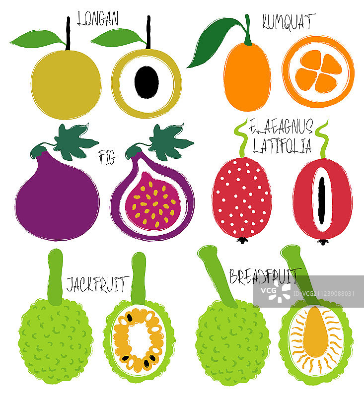 笔刷风格的异国水果图标合集图片素材