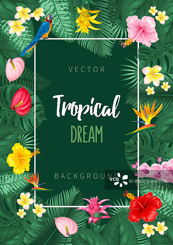 热带夏日背景设计图片素材