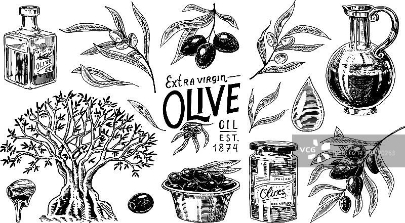 有机橄榄油和树枝合集图片素材