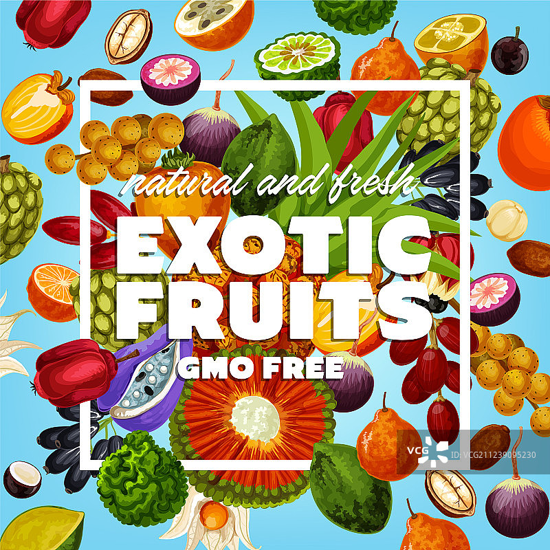 非转基因的奇异水果和浆果图片素材