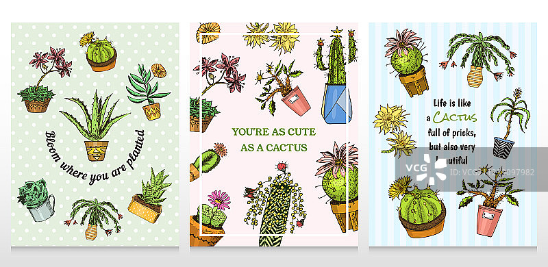 仙人掌和多肉植物可爱模板卡片组合图片素材