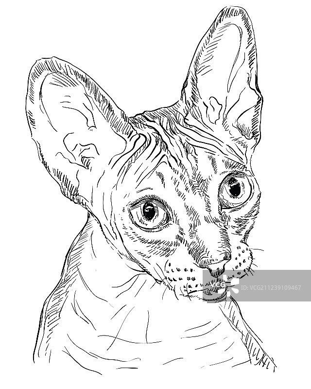 单色斯芬克斯图片素材