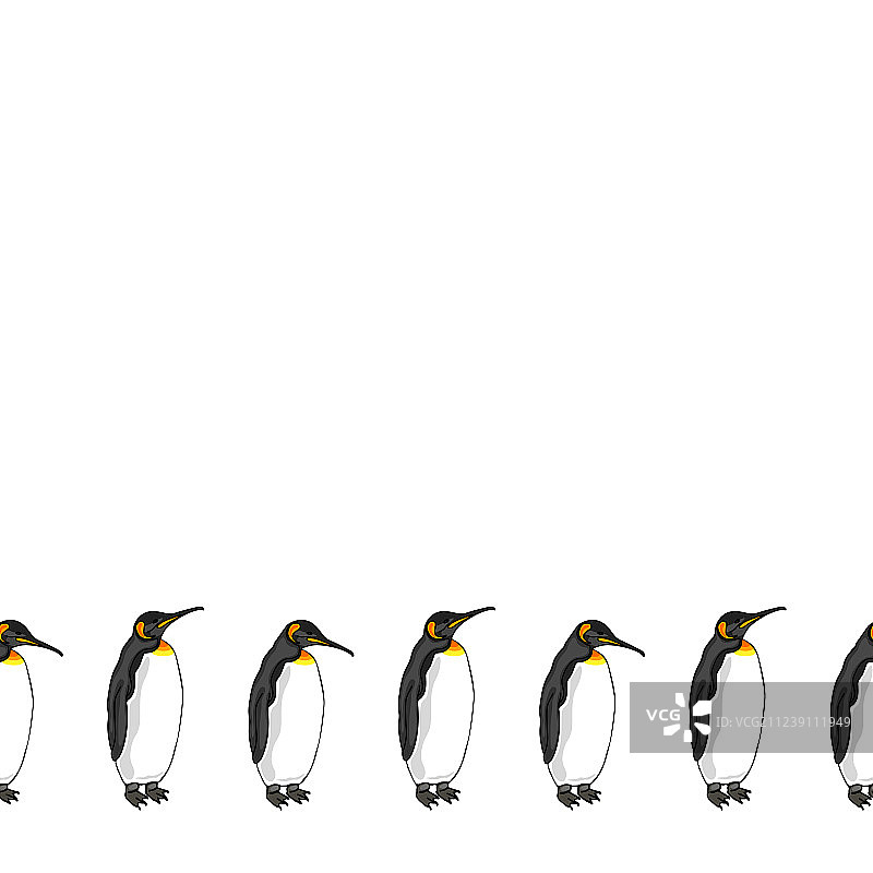 企鹅小鸟装饰边框图片素材