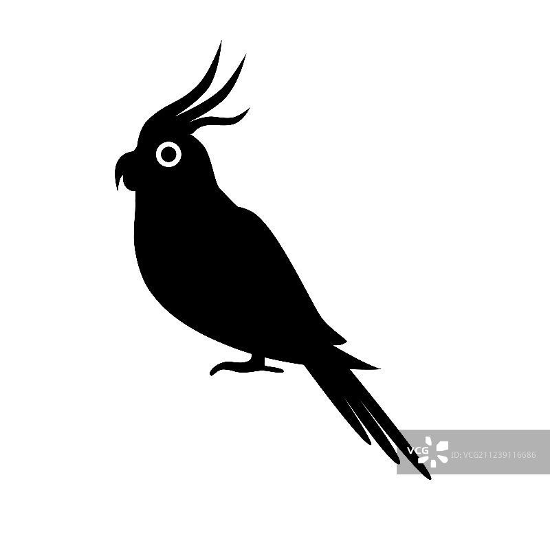 扁平风格中的小鹦鹉轮廓图标图片素材