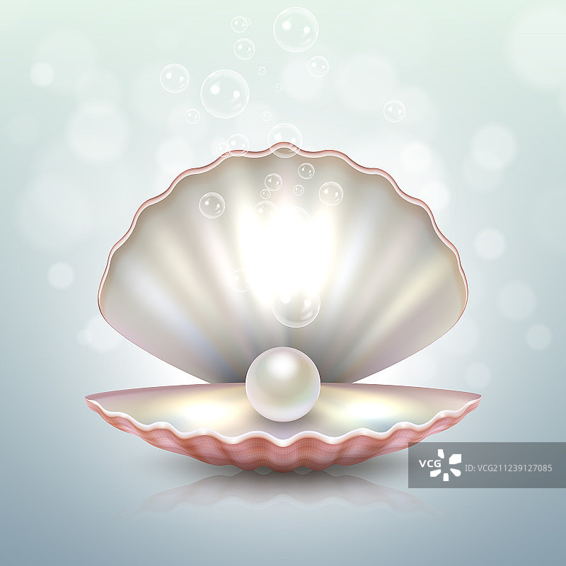 逼真唯美天然开蚌珍珠图片素材