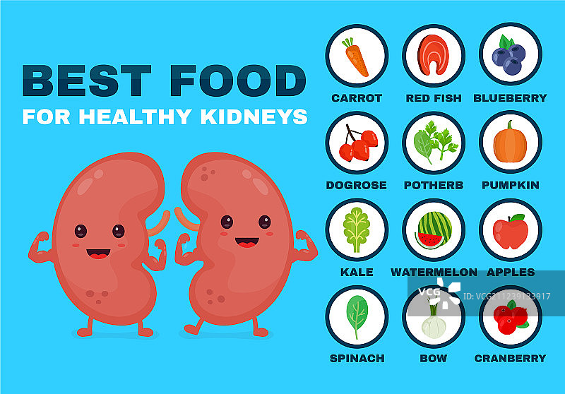 强肾健体最佳食物图片素材
