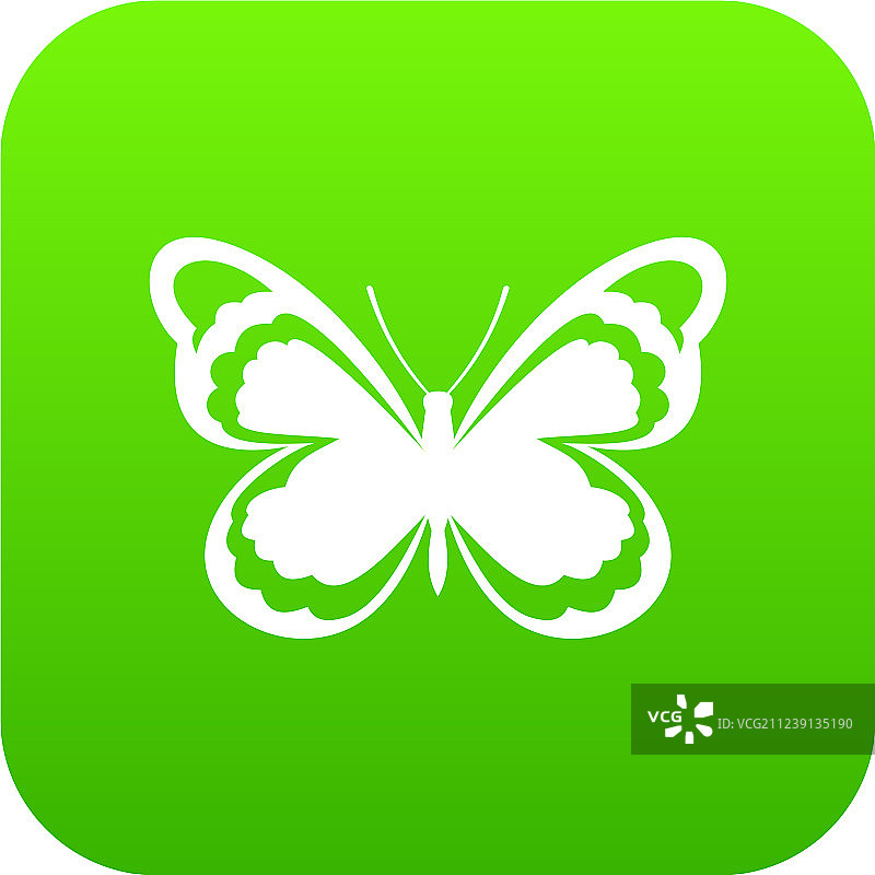 绿色小蝴蝶图标数字设计图片素材