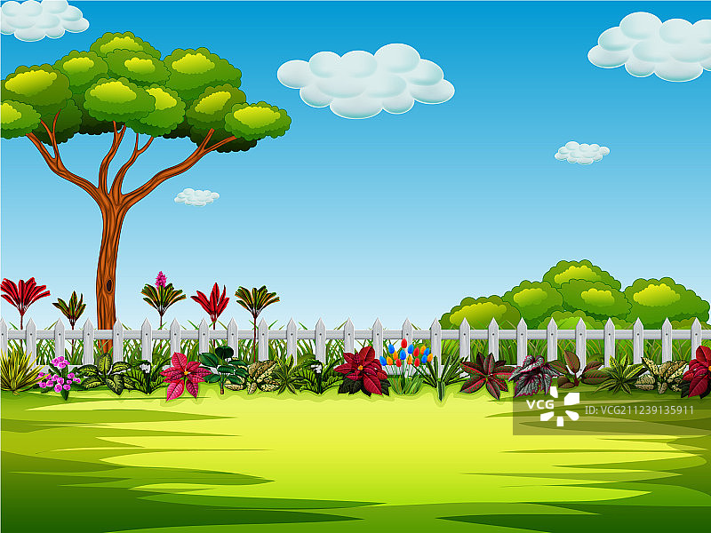 有树和灌木的美丽庭院图片素材