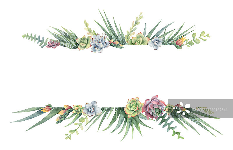 仙人掌和多肉植物水彩banner图片素材
