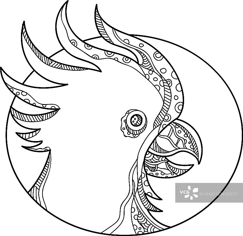 葵花鹦鹉头部涂鸦艺术图片素材
