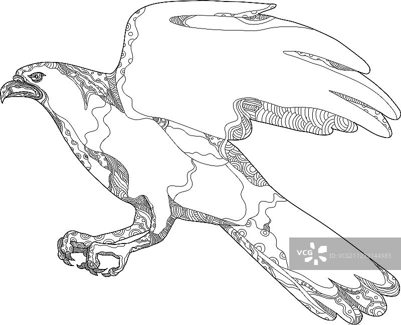 苍鹰俯冲涂鸦艺术图片素材