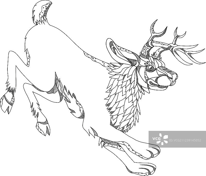 兔猻涂鸦艺术图片素材