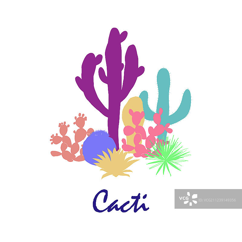 仙人掌群，带刺梨仙人掌和蓝色龙舌兰图片素材