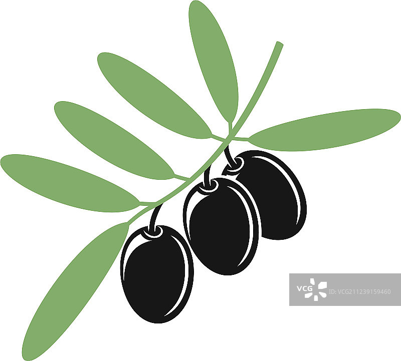 橄榄图片素材