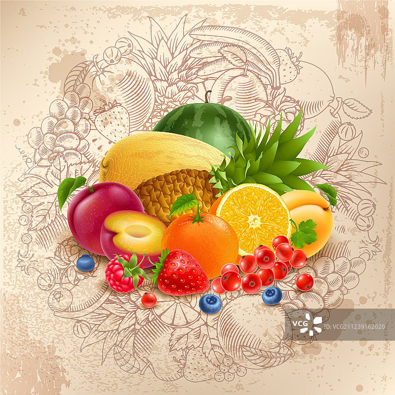 水果浆果圆形设计图片素材