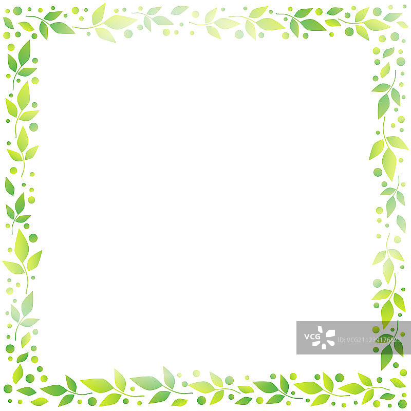 白色背景上的绿色树叶方框图片素材