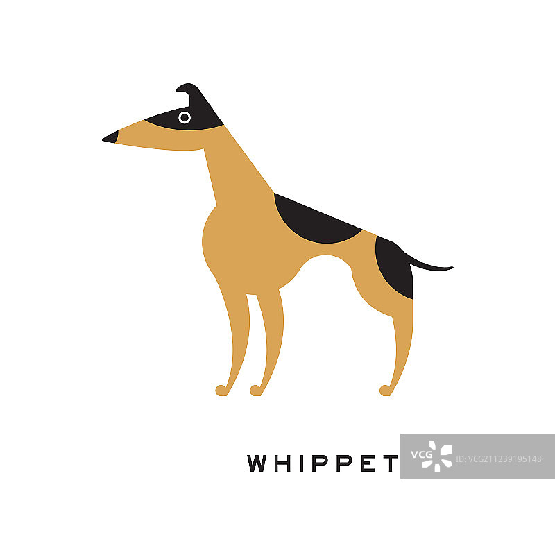 黑色和棕色惠比特犬角色隔离图片素材