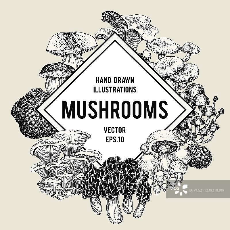 手绘蘑菇素材图片素材
