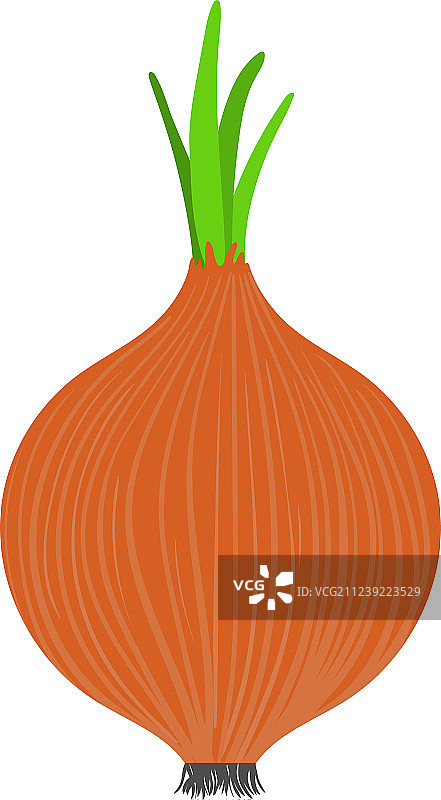 洋葱图标图片素材