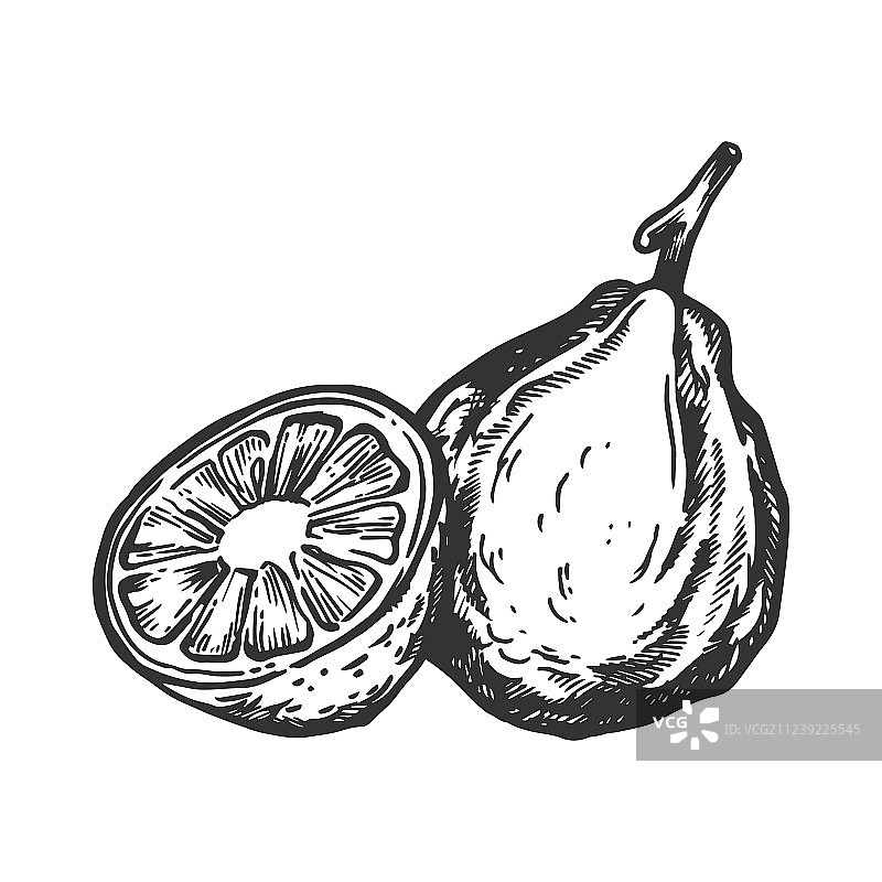 佛手柑雕刻图片素材