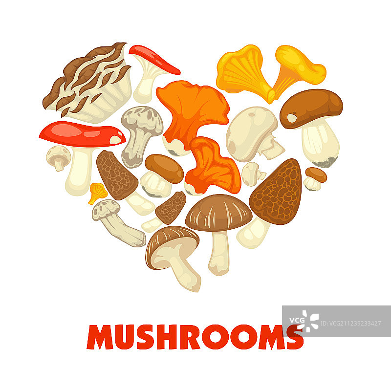 食用蘑菇海报扁平设计图片素材