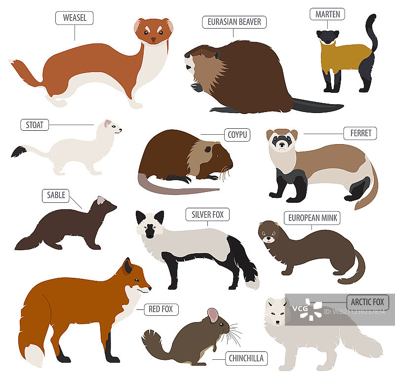 皮草养殖扁平风格设计图片素材