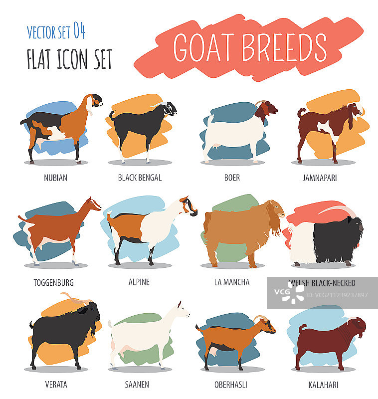 山羊品种图标集：动物养殖扁平设计图片素材
