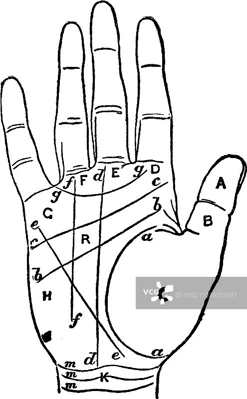 手相术性格探索复古风图片素材