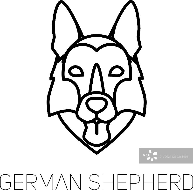 吐舌头的德国牧羊犬品种线性面部图片素材