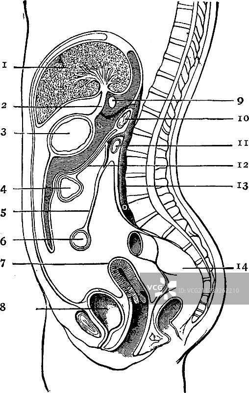 腹膜复古图片素材