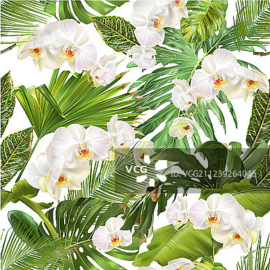 热带兰花叶子图案图片素材