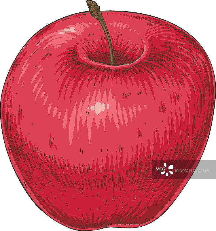 成熟的红苹果图片素材