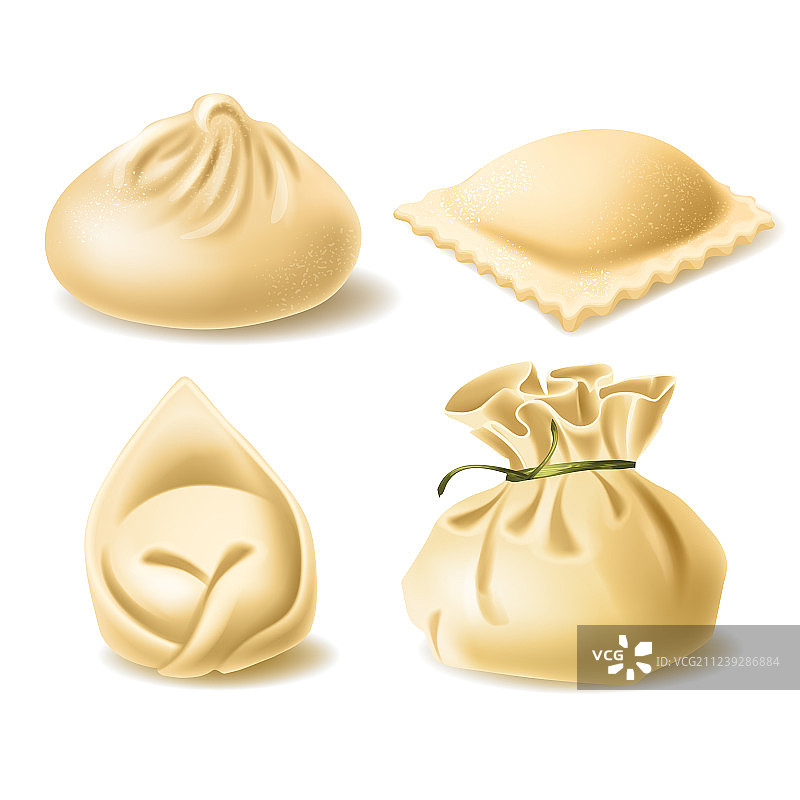 不同饺子的逼真剪贴画图片素材