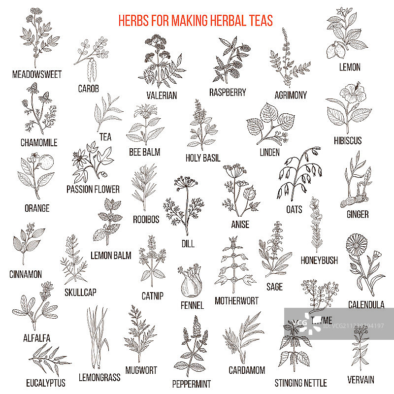 适合泡茶的优质草药图片素材