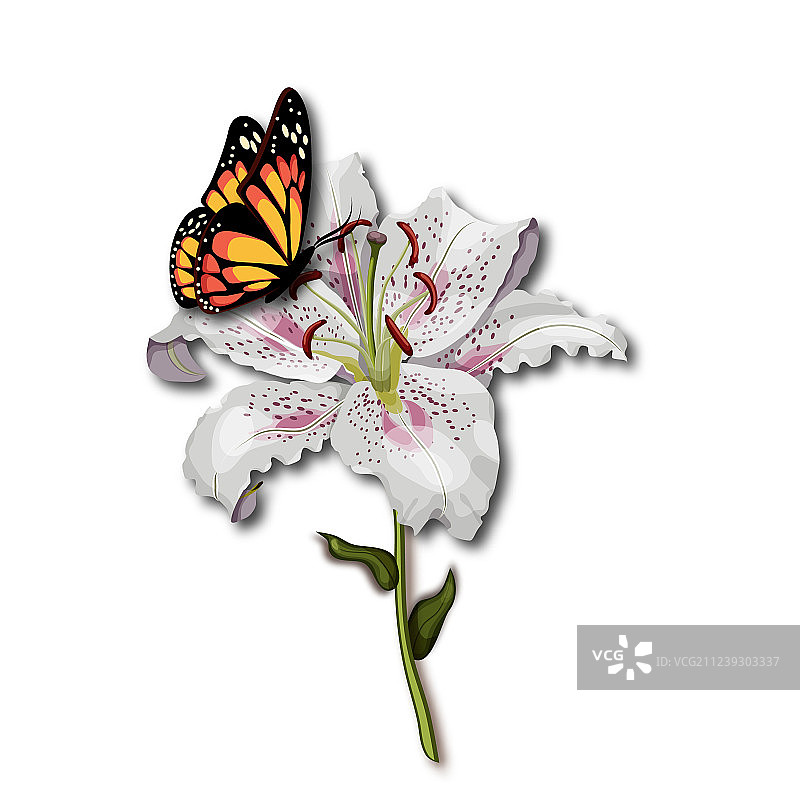 美丽的帝王蝶停留在白色物体上图片素材