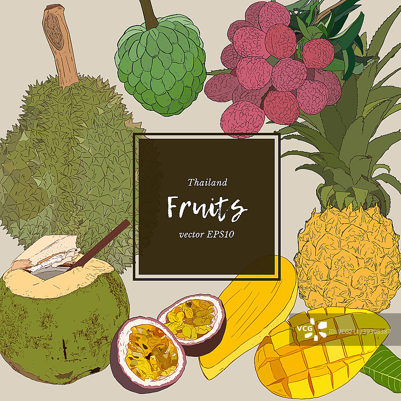 泰国水果素描合集图片素材