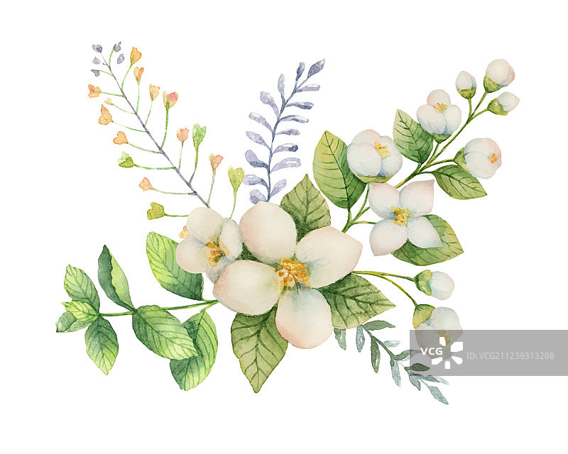 水彩茉莉花和薄荷花束图片素材