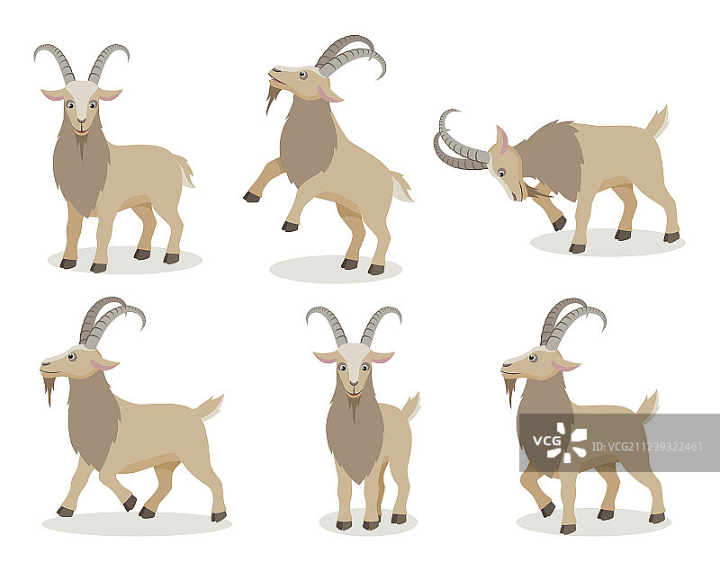 扁平风格的不同姿势的山羊素材图片素材
