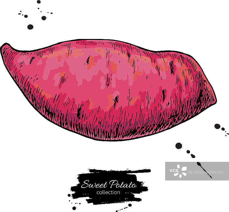手绘红薯图片素材