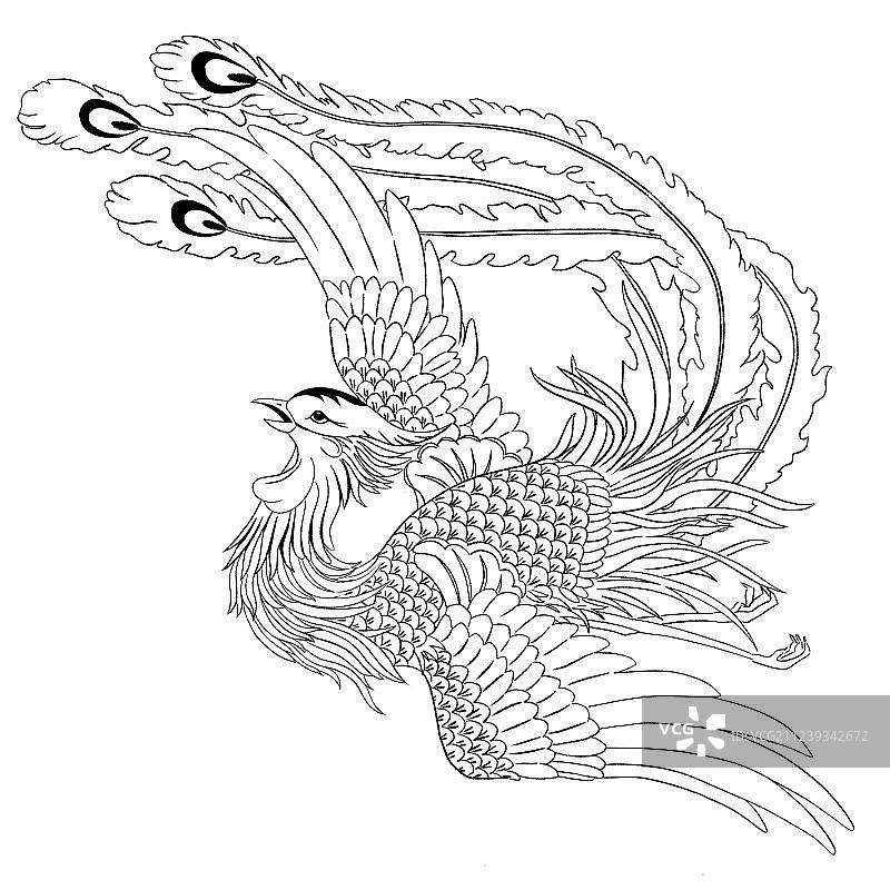 手绘凤凰线稿吉祥图案免扣图形元素图片素材